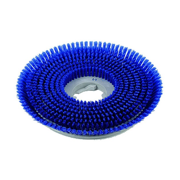 Brosse de récurage pour monobrosse ICA